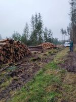 Holzstöße in sterbendem Wald; Foto Monika 8.12.24