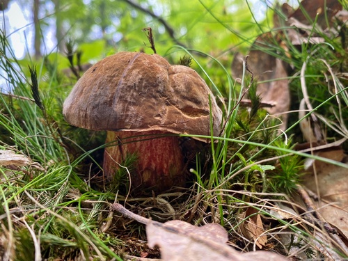 Der erste Flocki 2024 für Stefan; Foto Stefan 28.4.24