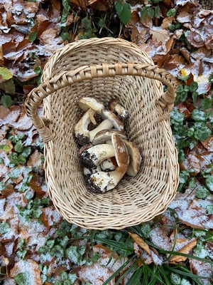 Steinpilzkorb im Schneegriesel; Foto Tobias 2.12.23