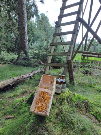 Pfifferlingskorb am Jägerstand; Foto Dirk 29.7.24