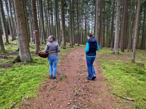 Dani und Begleitung auf dem Weg zu den Pilzplätzen; Foto Stefan 26.10.24