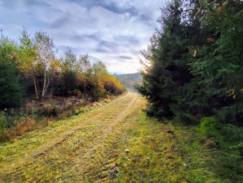 Herbstliche Morgenstimmung auf den Balver Höhen; Foto Michael 20.10.24