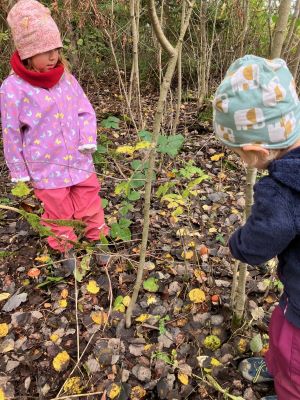 Kinder beim Rotkappensuchen; Foto Andreas 5.10.24