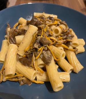 Pasta mit Trompetenpfifferlinge, Miso und Sahne; Foto Melanie 2.11.24