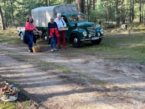 Pilzkörbe und Kleiner Barkas Baujahr 1956; Foto Klaus 27.10.24