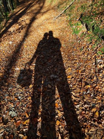 Stefan und Dani als Pilzsammlerschatten; Foto Stefan 4.11.24