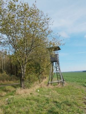 Jägerstand und Riesenbovist; Foto Monika 12.10.24