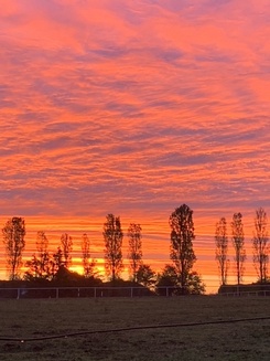 Sonnenaufgang Ingeborg 4.10.22