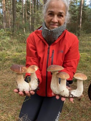 Unzertrennliche Steinpilze; Foto Carsten 11.10.24